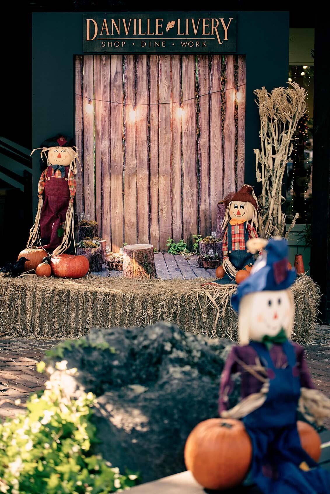 Scarecrows and pumpkins in front of a sign that says danville livery