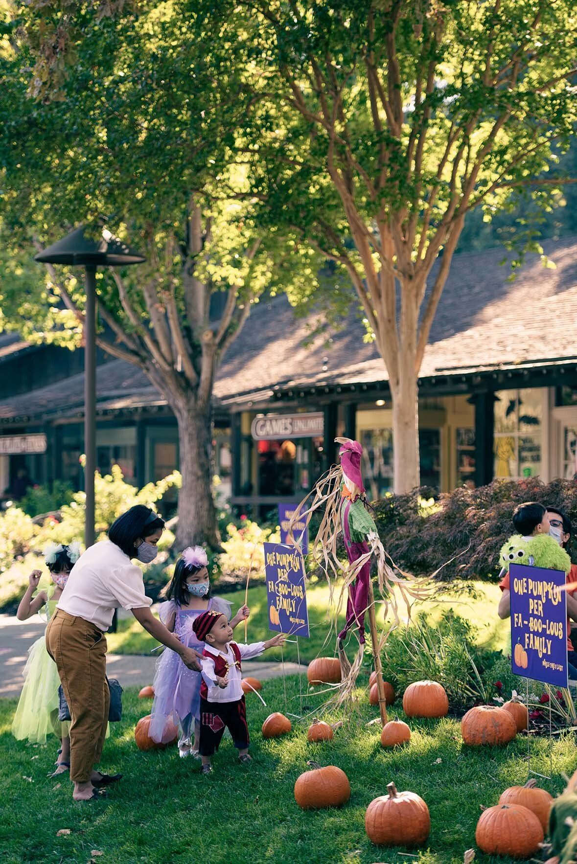 A woman is standing next to a child in a park surrounded by pumpkins.