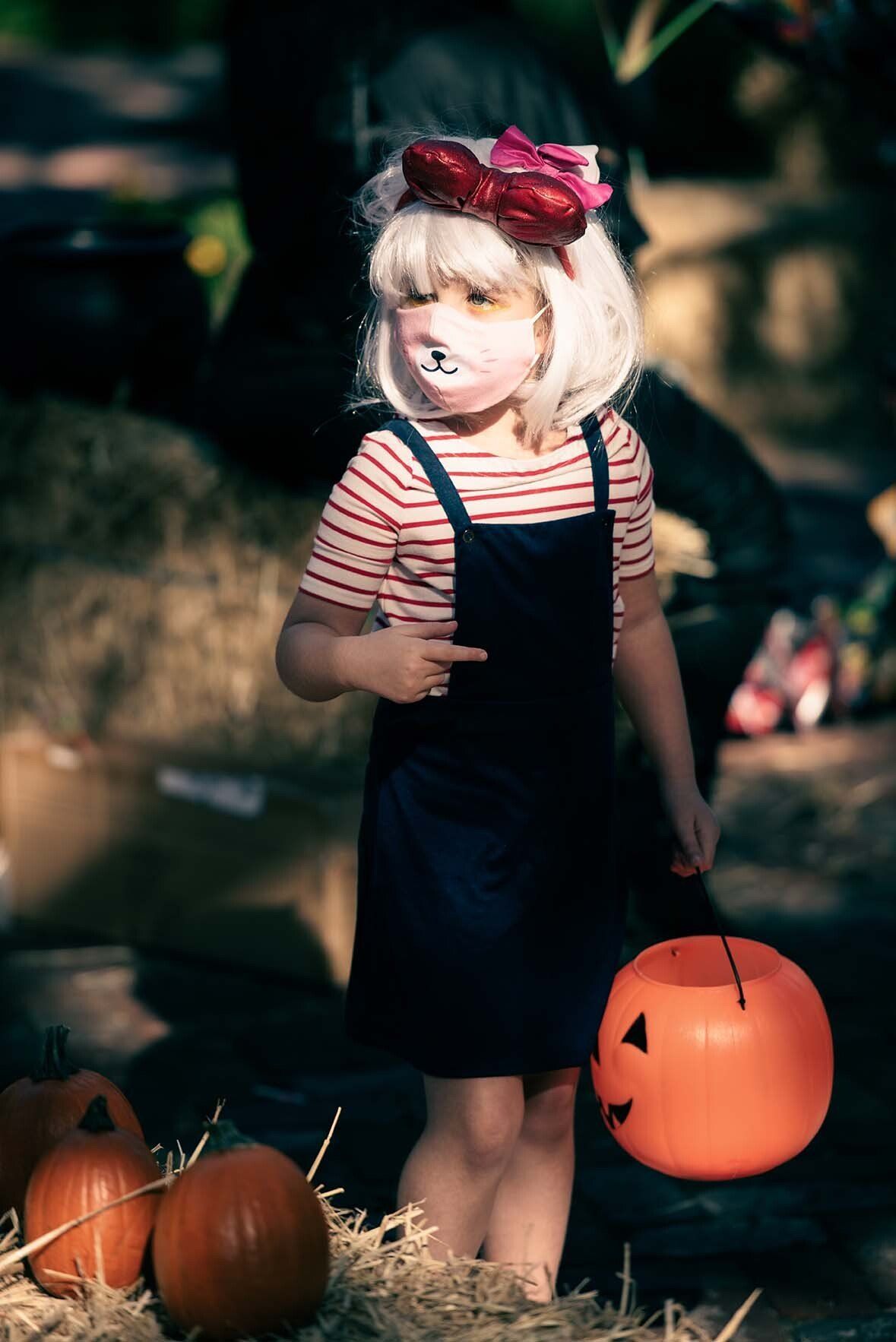 A little girl in a cat costume is holding a pumpkin bucket.