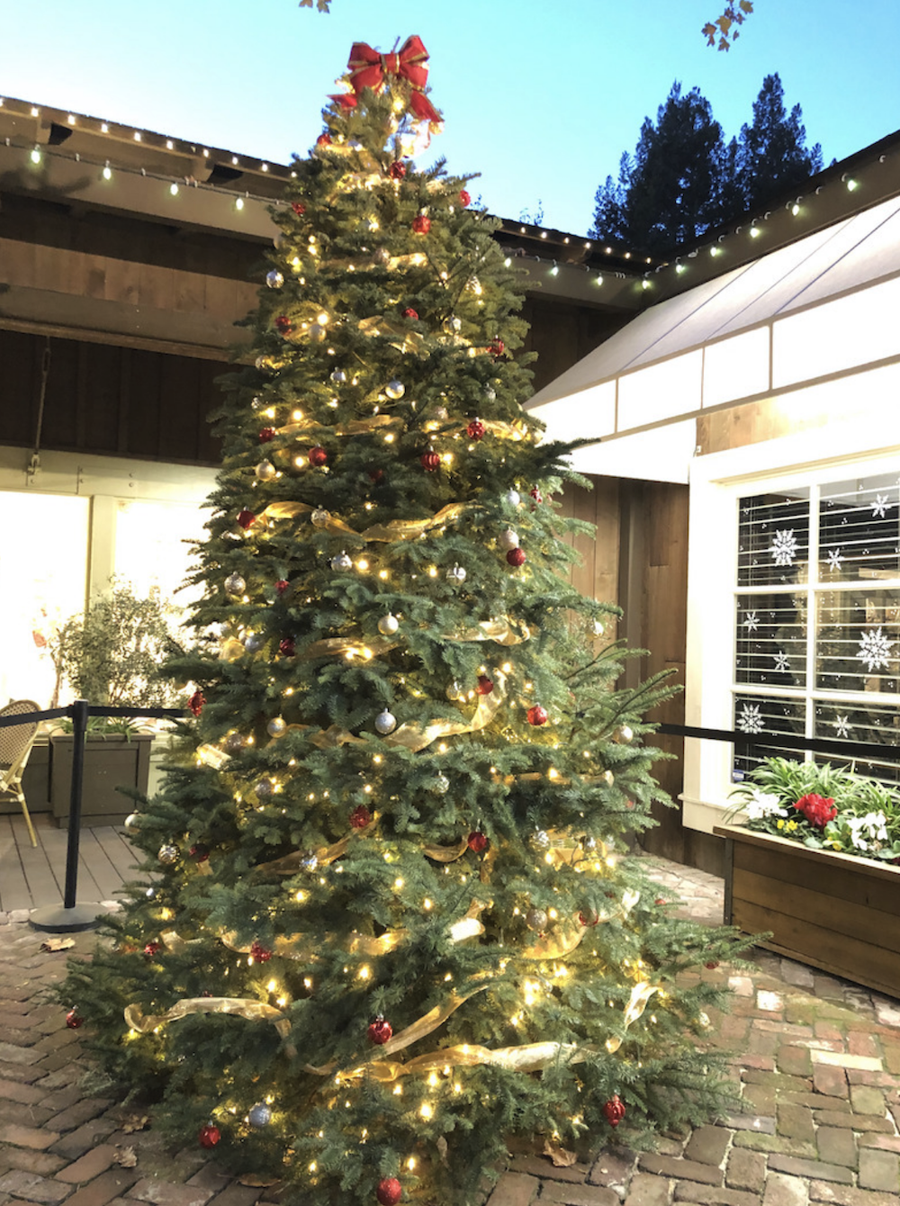 A large christmas tree with a bow on top of it