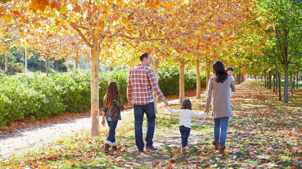 A family is walking through a park holding hands.