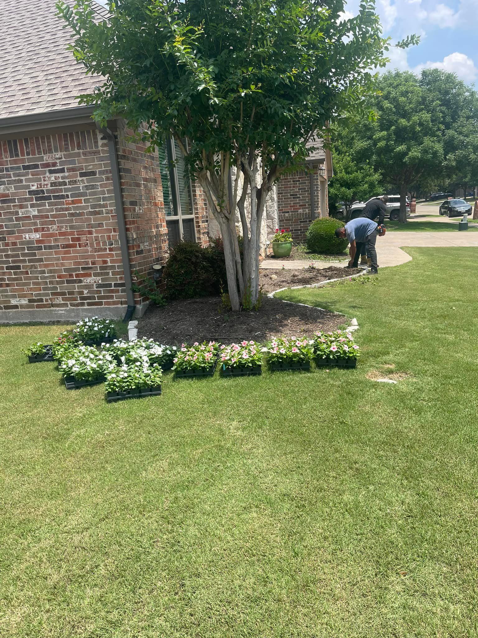A bunch of potted plants are sitting on the grass in front of a house.