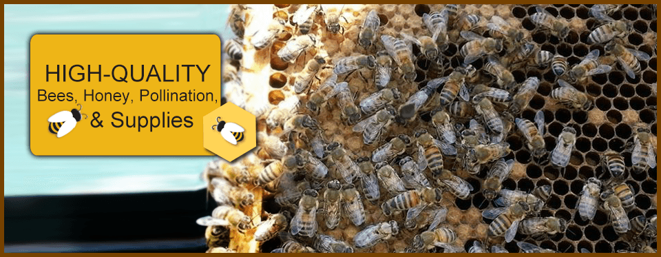 Rock Hill Honey Bee Farms in Stafford VA 22556