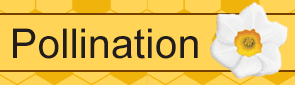 Pollination