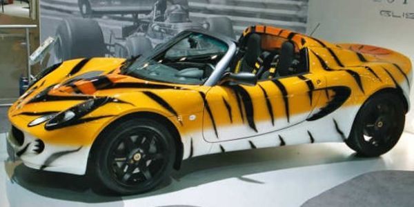 A yellow sports car with tiger stripes on display in a showroom.
