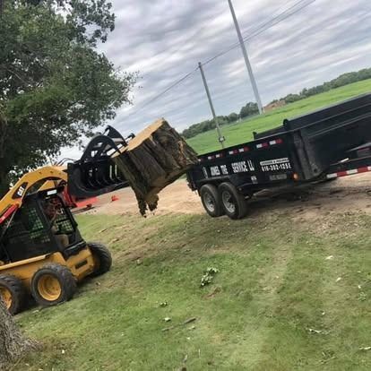 Yellow skid steer loading a tree stump into a black trailer on a grassy field under a cloudy sky.