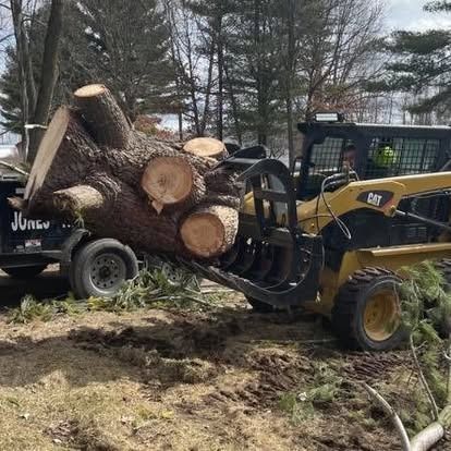 A skid steer loader is loading a large tree trunk onto a trailer in a grassy outdoor area.