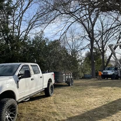 White truck and trailer on grass, tree work in progress, bare trees, sunny day.