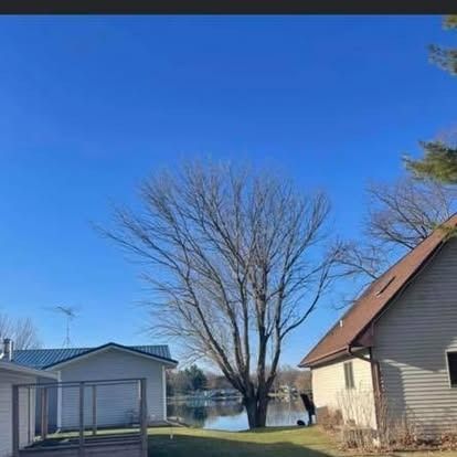 Houses and a bare tree against a blue sky, near a body of water.