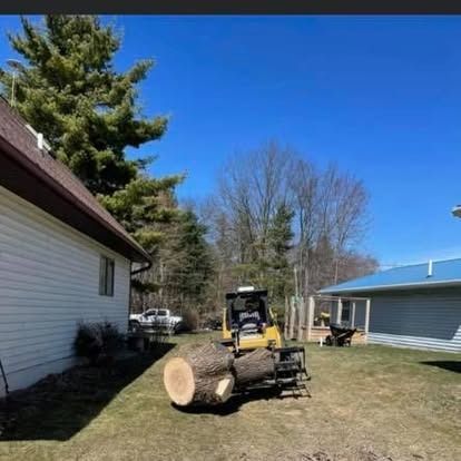 Skid steer loader with logs on forks in a yard with houses and trees on a sunny day.