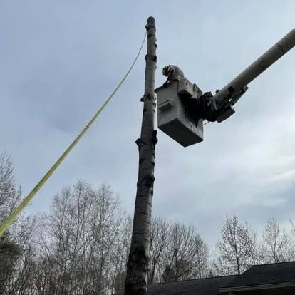 Tree service worker in a bucket lift cutting a tall tree, with a safety rope and cloudy sky.