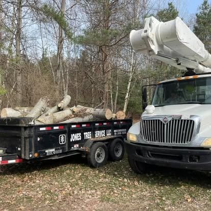 A tree service truck with an extended lift arm and a trailer loaded with logs in a wooded area.