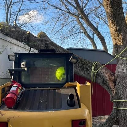 Yellow skid steer under tree. Tree branch rests on shed roof. Fire extinguisher is attached.