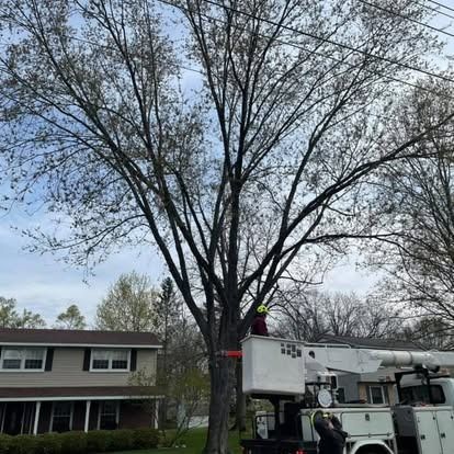 A tree being trimmed by workers in a lift truck near a two-story house under a cloudy sky.