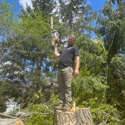 Man stands atop a tree stump, holding a chainsaw up, with a green tree backdrop.