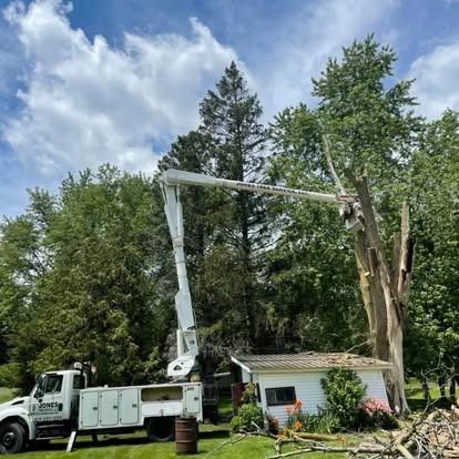 A tree service truck with boom trimming a damaged tree near a small white house. Blue sky and green trees.