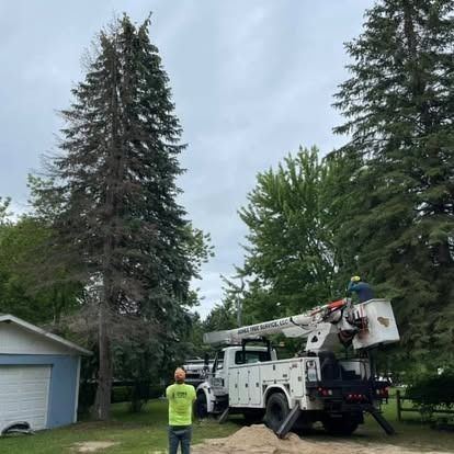 Two tree workers in lift truck pruning a tall fir tree next to a blue garage on a cloudy day.