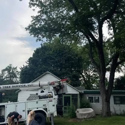 Tree service truck near a house, trimming large tree branches.