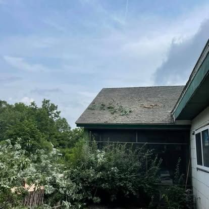 Overgrown bushes surround a house with a mossy roof and screened porch under a cloudy sky.