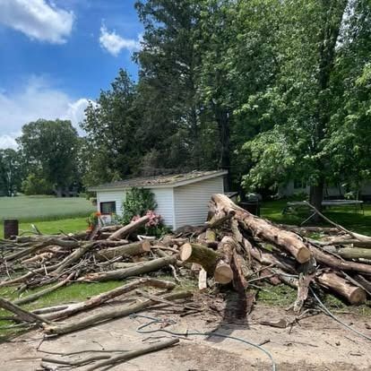 A pile of cut tree branches and logs in front of a white shed. Trees and a field in the background.