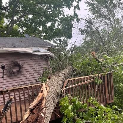 A large tree lies across a wooden deck and roof of a house, causing damage.