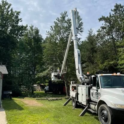 Truck with lift arm, working on tree in a yard, white vehicle, bright sunny day.
