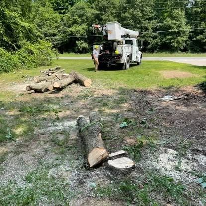 Tree service truck with bucket, worker, and cut logs in a grassy area.