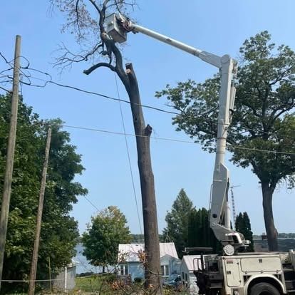 Tree trimming by utility truck with extended boom near power lines.