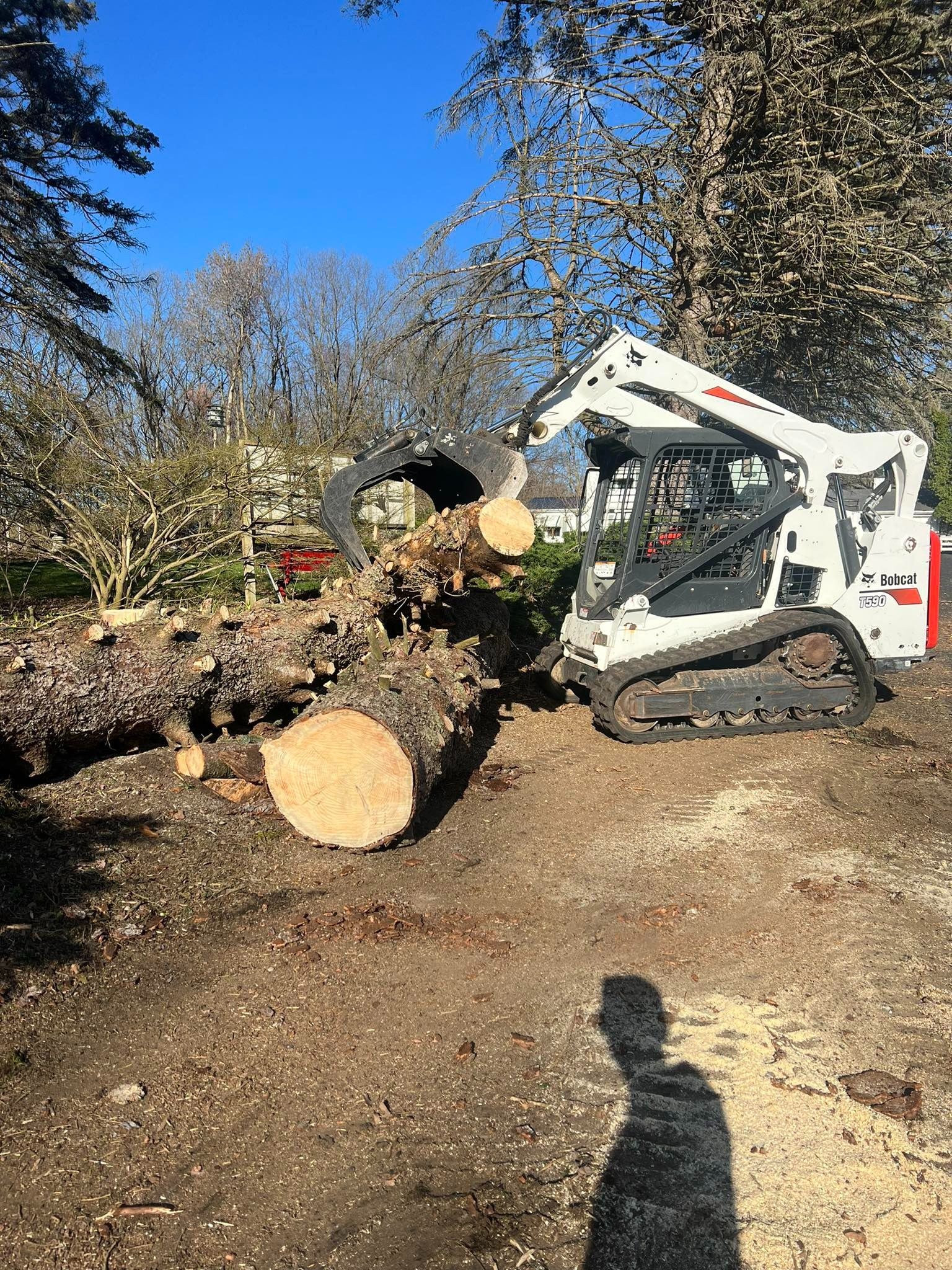 Bobcat skid-steer with tree shear cutting a log on brown earth under blue sky.