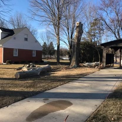 Tree stump and logs on a grassy lawn next to a house and driveway on a sunny day.