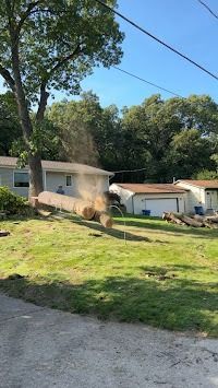 Tree trunk being cut down in a yard, dust cloud erupting. Houses and a clear sky in the background.
