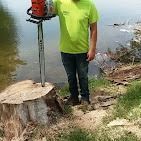 Man in green shirt standing by a lake, holding chainsaw on a tree stump.