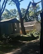 Mobile homes nestled amongst trees on a sunny day.