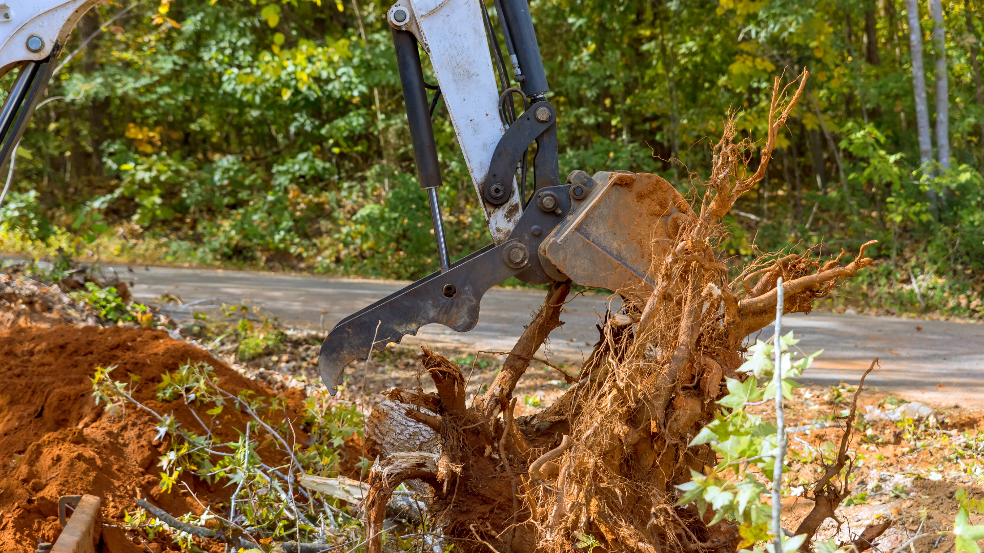 Excavator removing tree roots from the ground near a road.