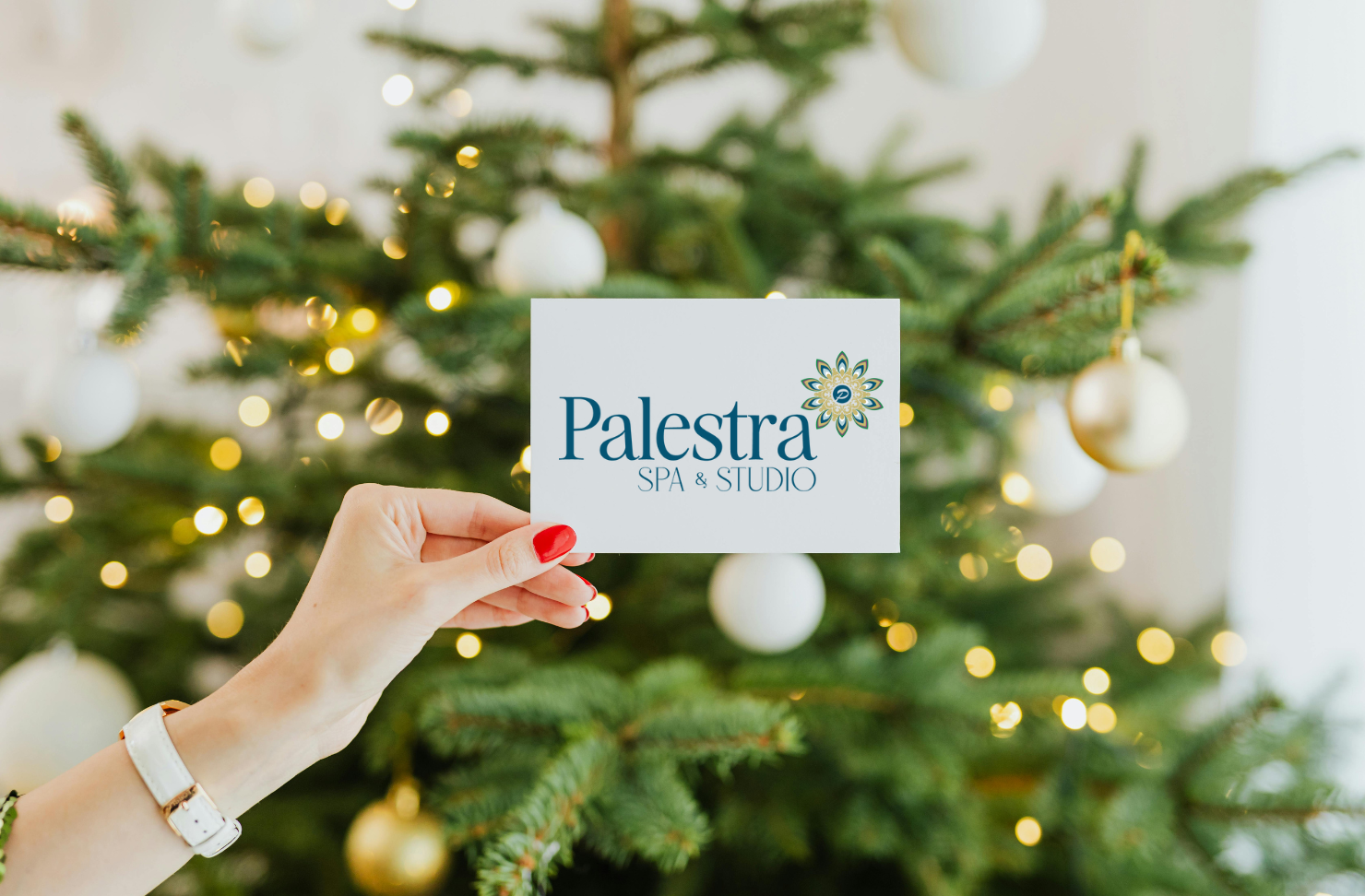 south park spa gift card