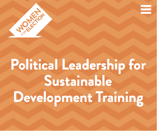 A poster for political leadership for sustainable development training