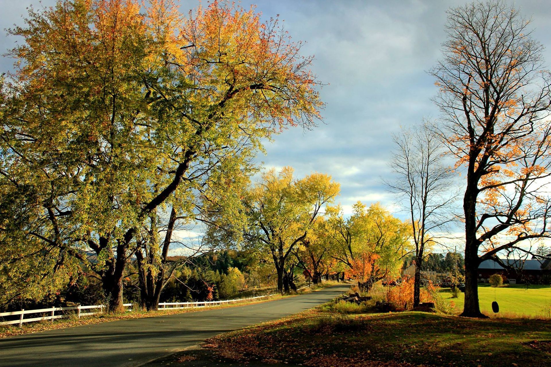 A tree-lined street in Burke, Vermont during Fall