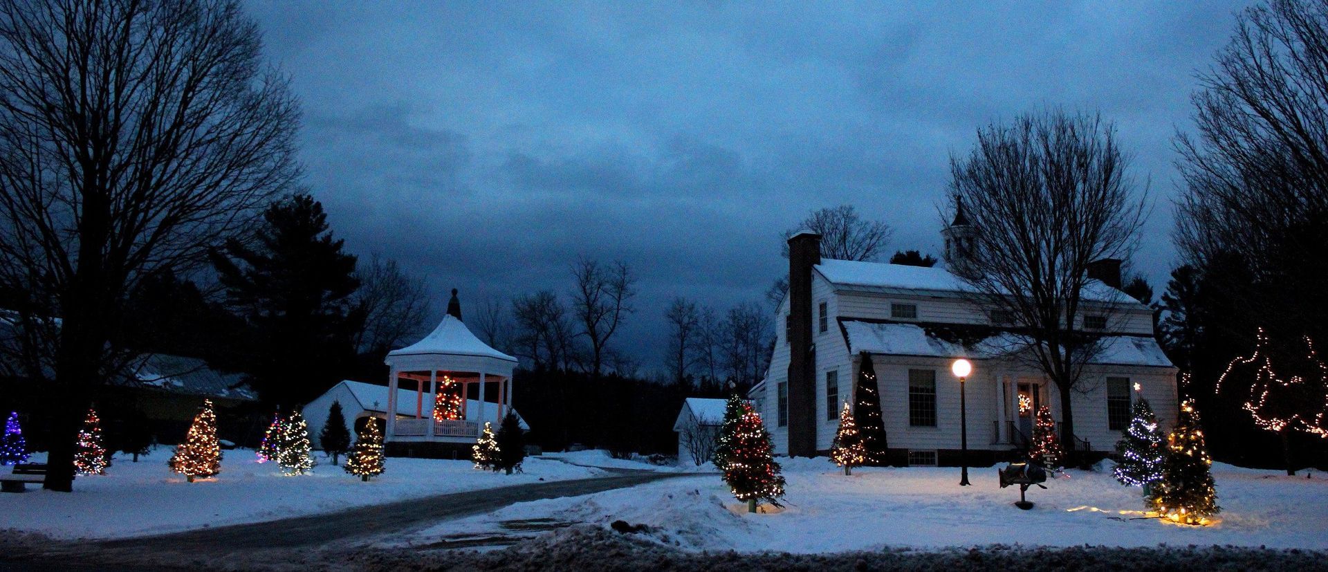 Lit up Christmas trees in Burke, Vermont