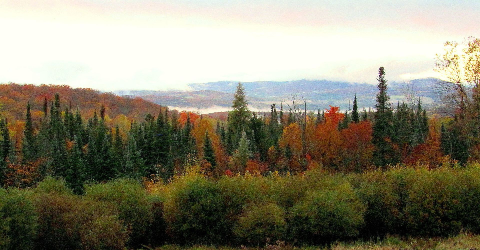Fall foliage in Burke, Vermont