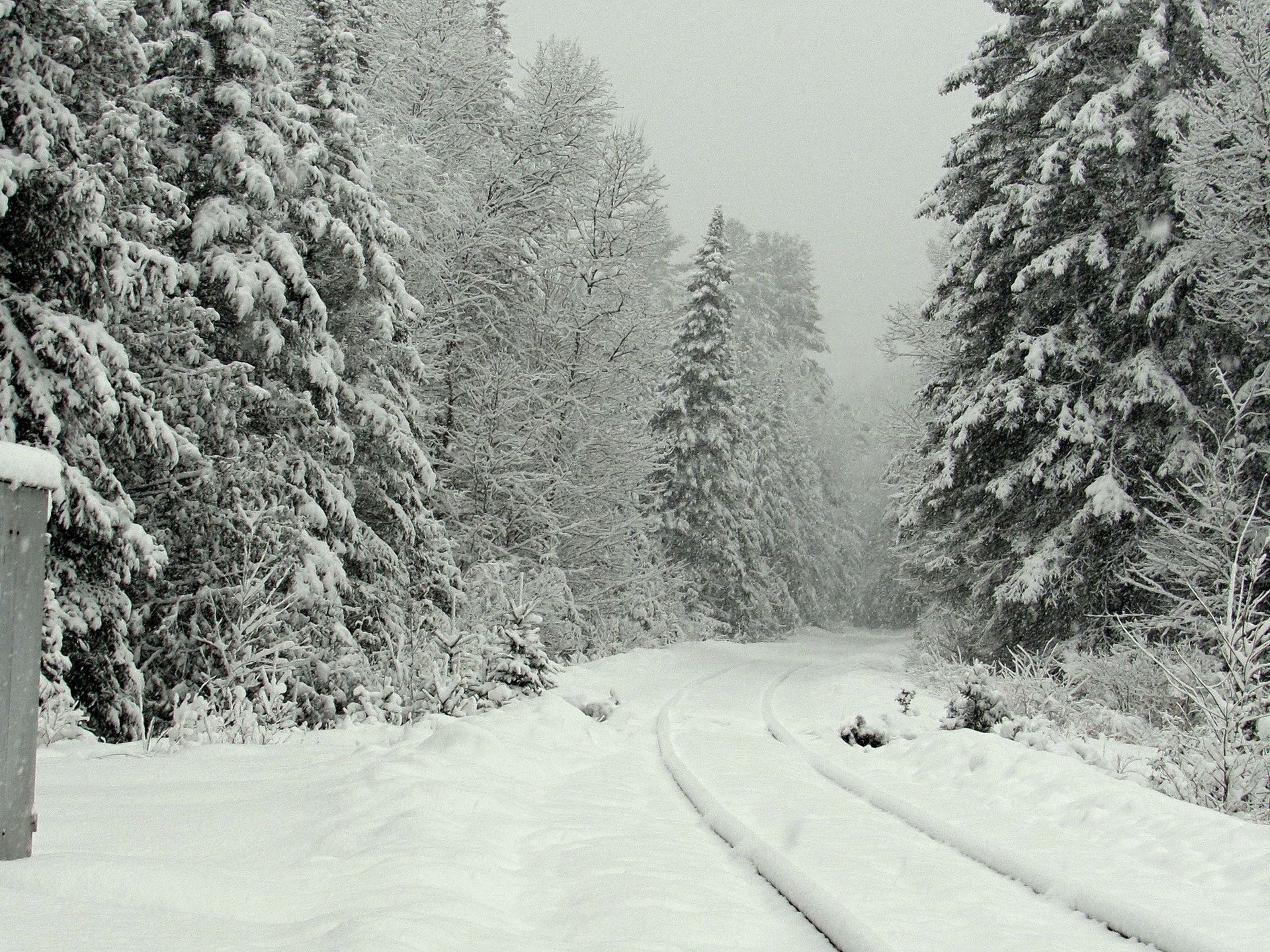 snow-covered train tracks surrounded by trees in Burke, Vermont