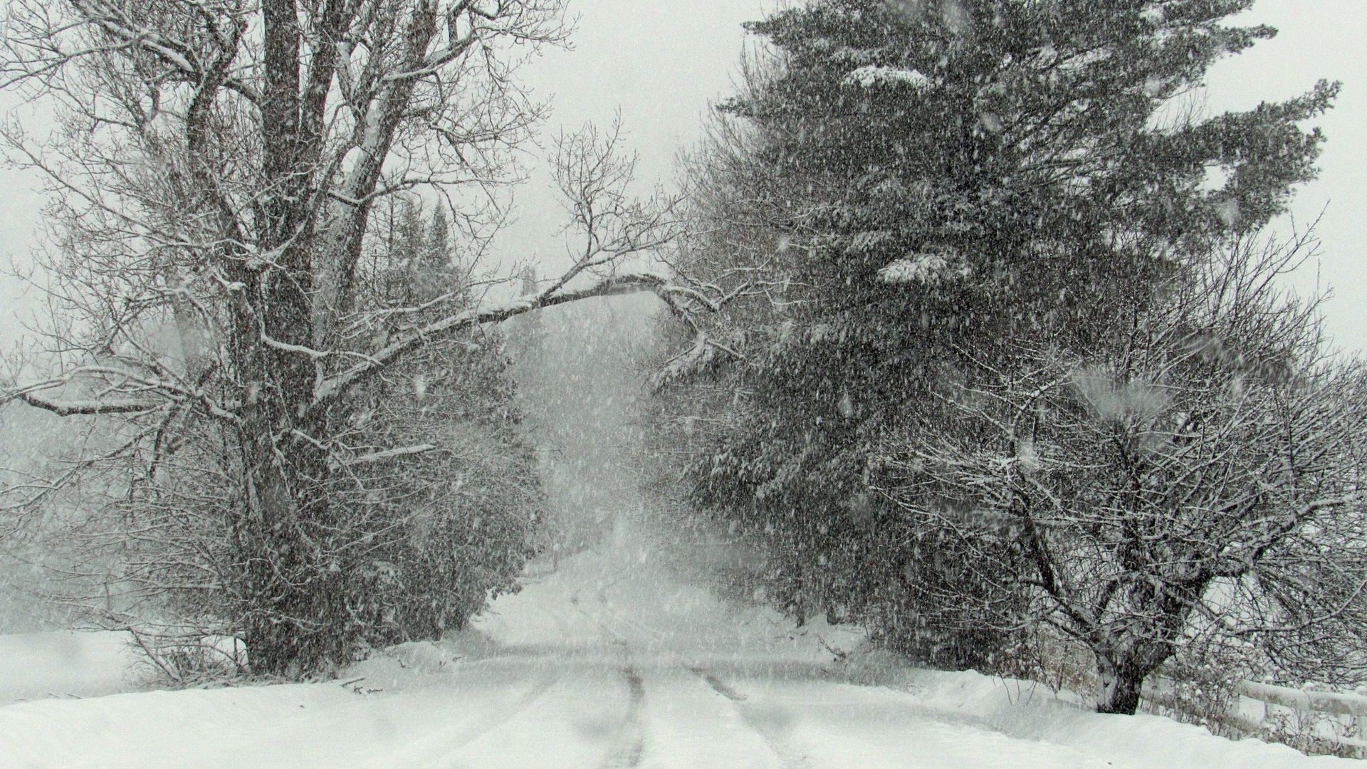 A snow-covered road surrounded by trees in Burke, Vermont