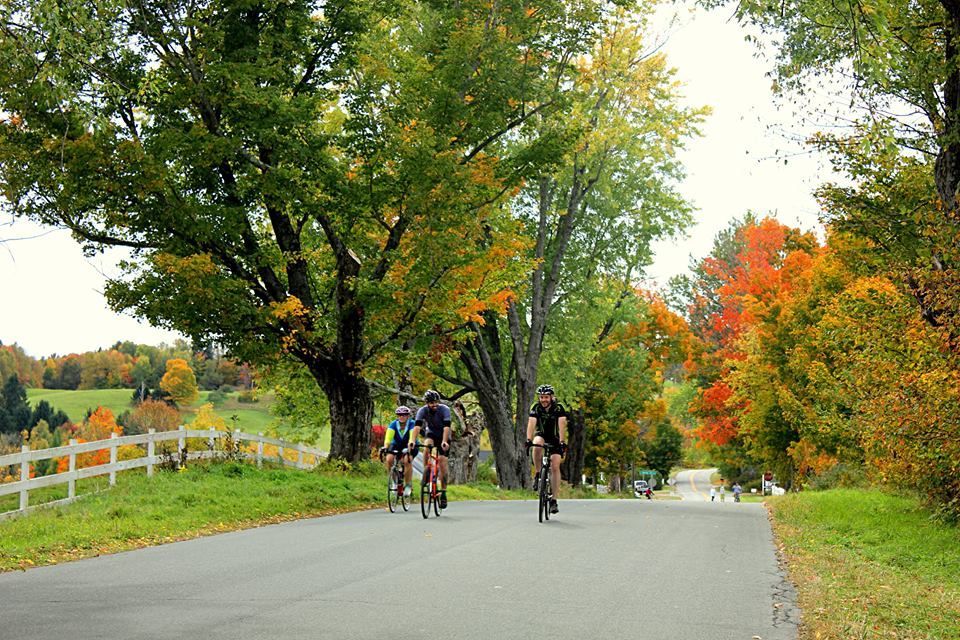 Bicyclists ride down a road surrounded by fall foliage
