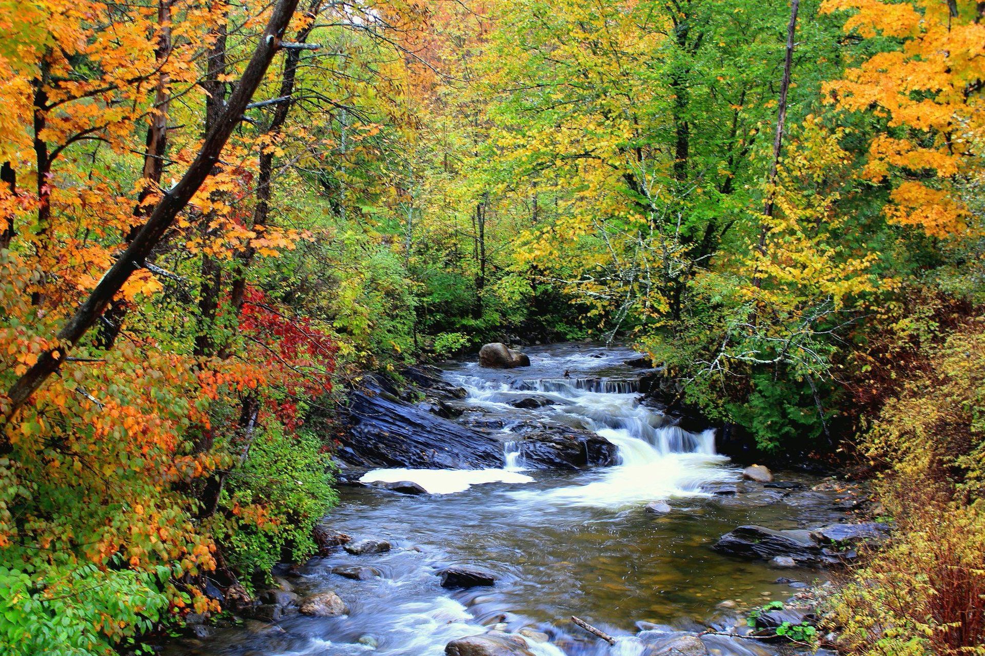 Dishmill Brook in Burke, Vermont