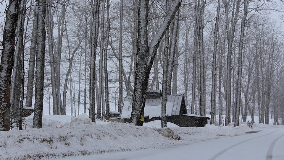 A  snow covered sugarhouse in West Burke, VT