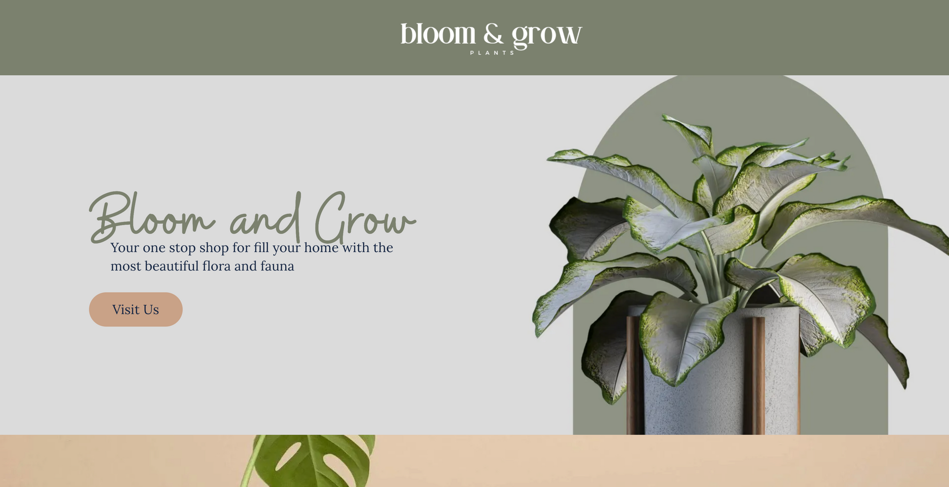 bloom and grow plants website