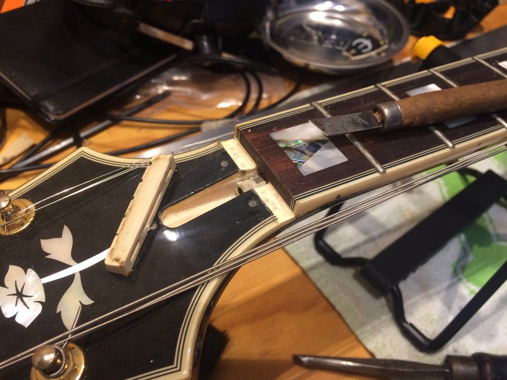 A new-bone nut on a Epiphone Sheraton