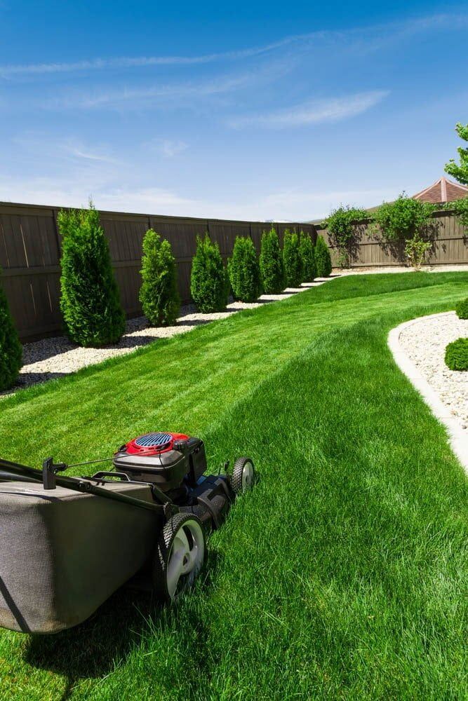 A Lawn Mower is Cutting a Lush Green Lawn in a Backyard — AD House Wash & Gutter Cover in East Toowoomba, QLD