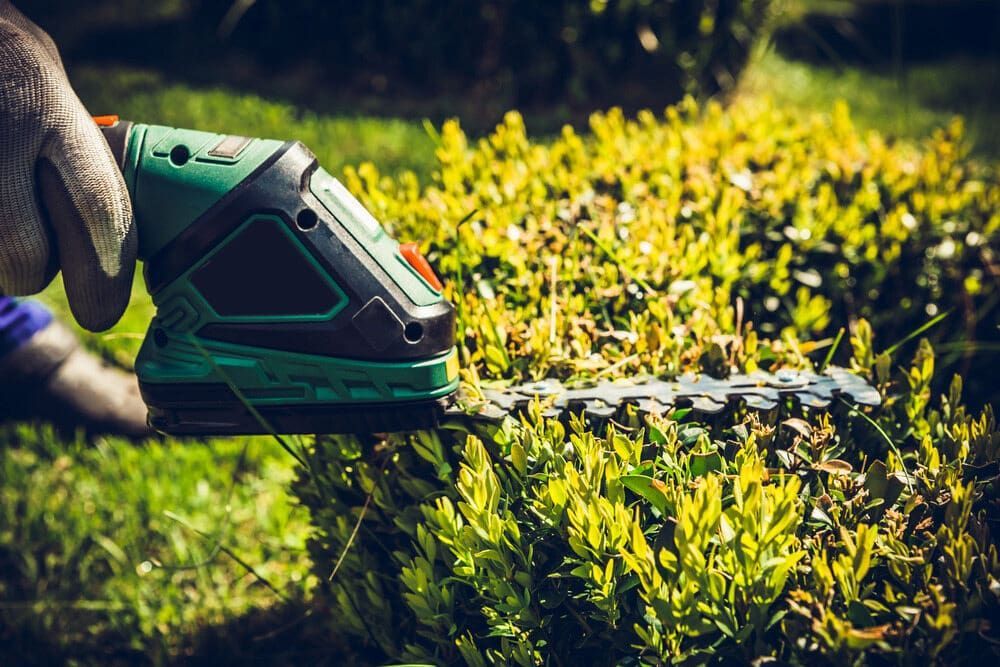 A Person is Cutting a Bush With a Hedge Trimmer — AD House Wash & Gutter Cover in East Toowoomba, QLD