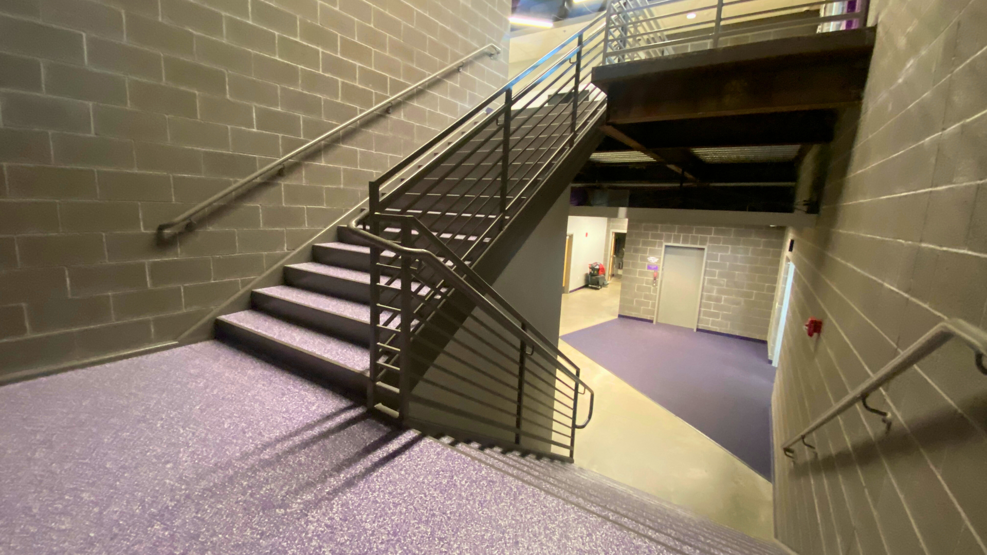 a custom purple concrete coating in a commercial building