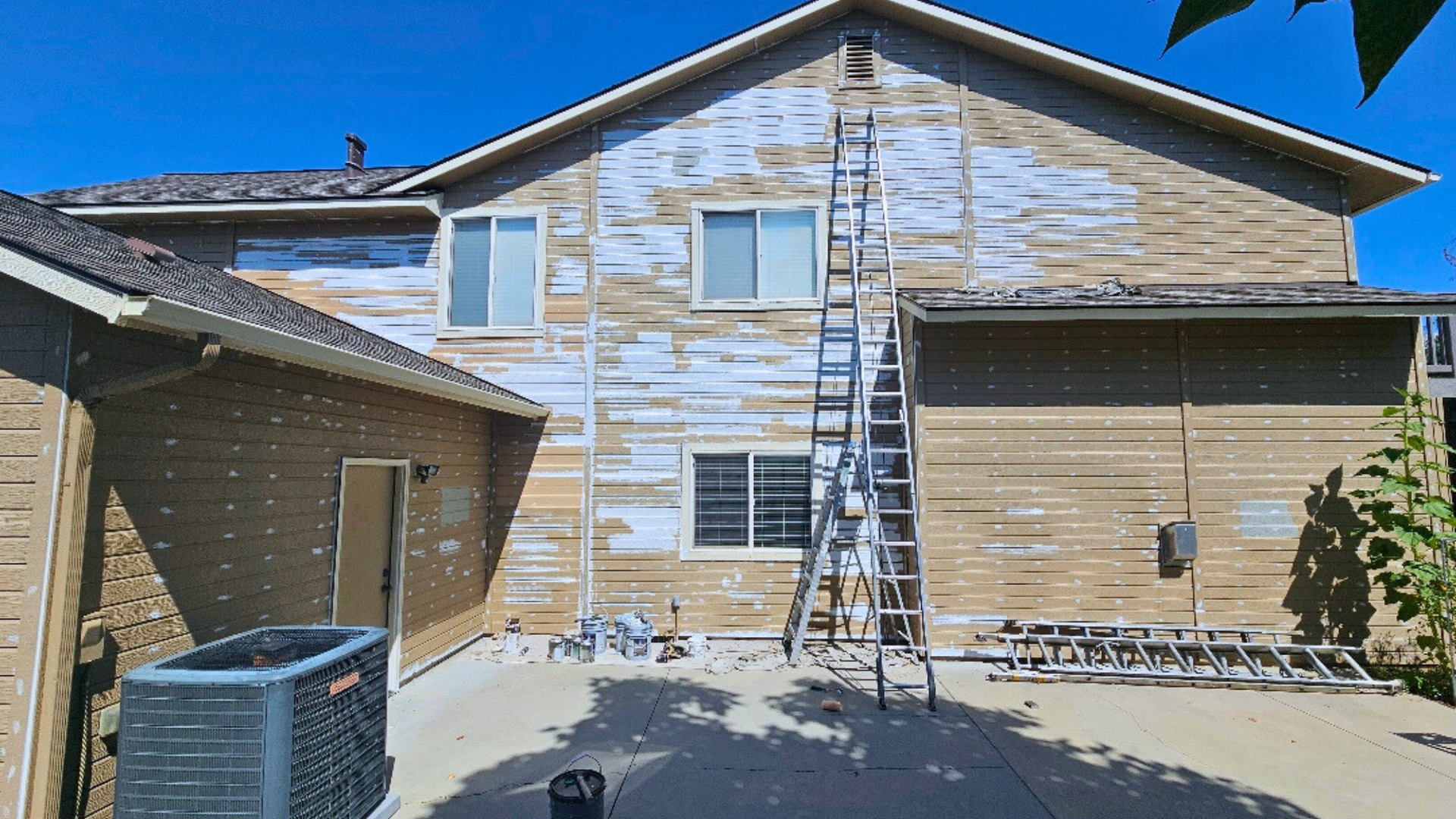 A house is being painted white with a ladder in the backyard.